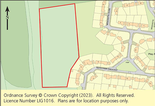 Lot: 70 - WOODLAND EXTENDING TO OVER THREE ACRES -